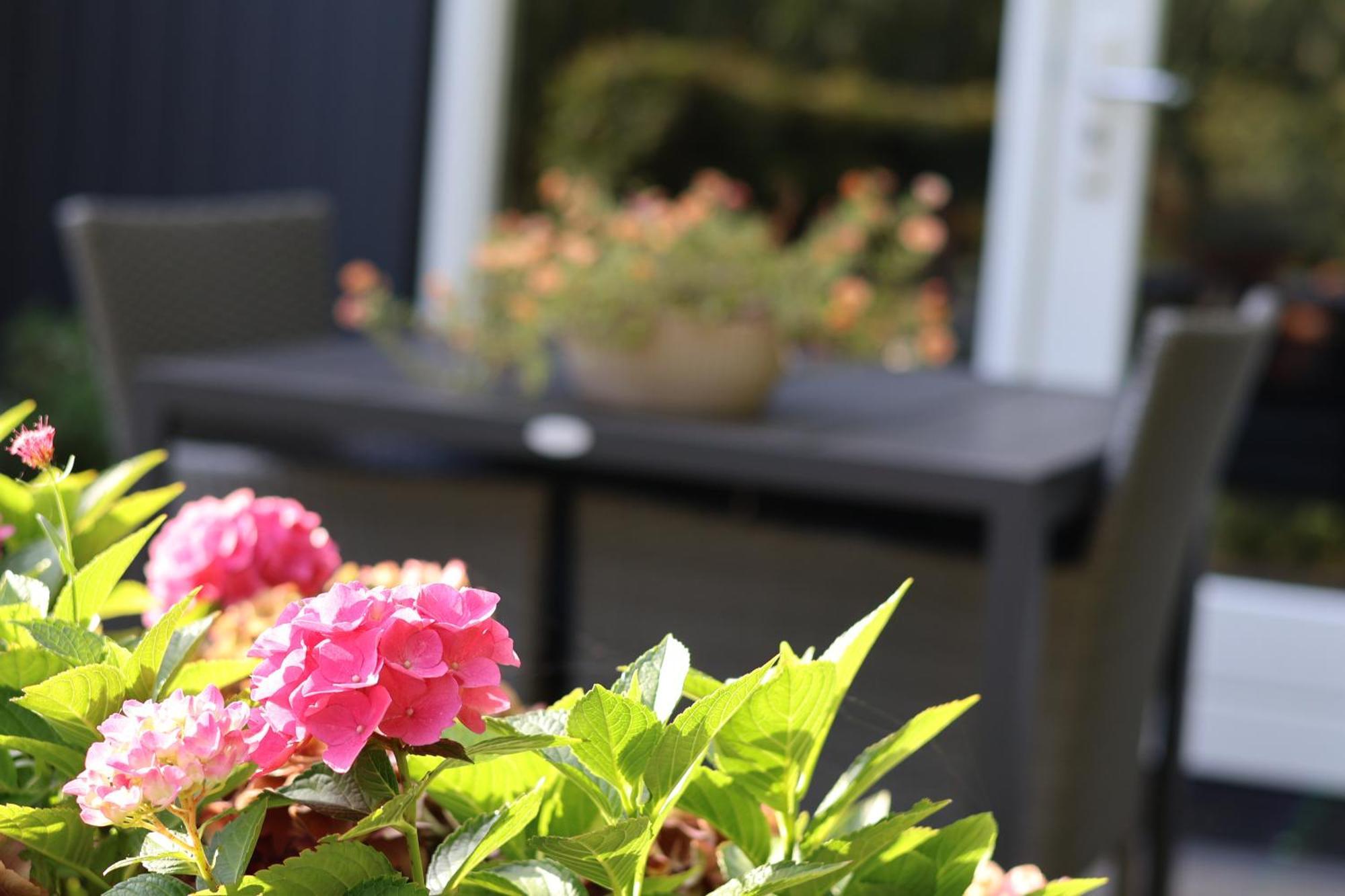 Het Broekeroord Bed & Breakfast Wezep Luaran gambar